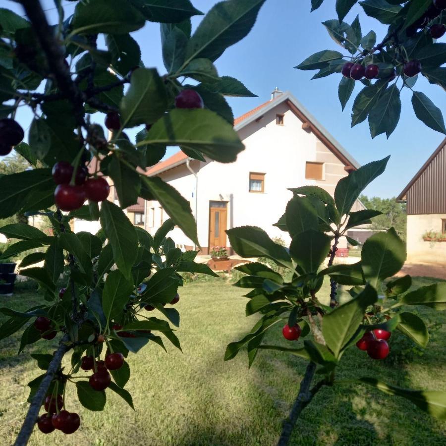 Kuca Za Odmor Boki Villa Gospic Bagian luar foto