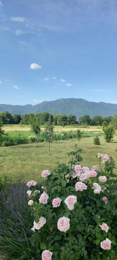 Kuca Za Odmor Boki Villa Gospic Bagian luar foto